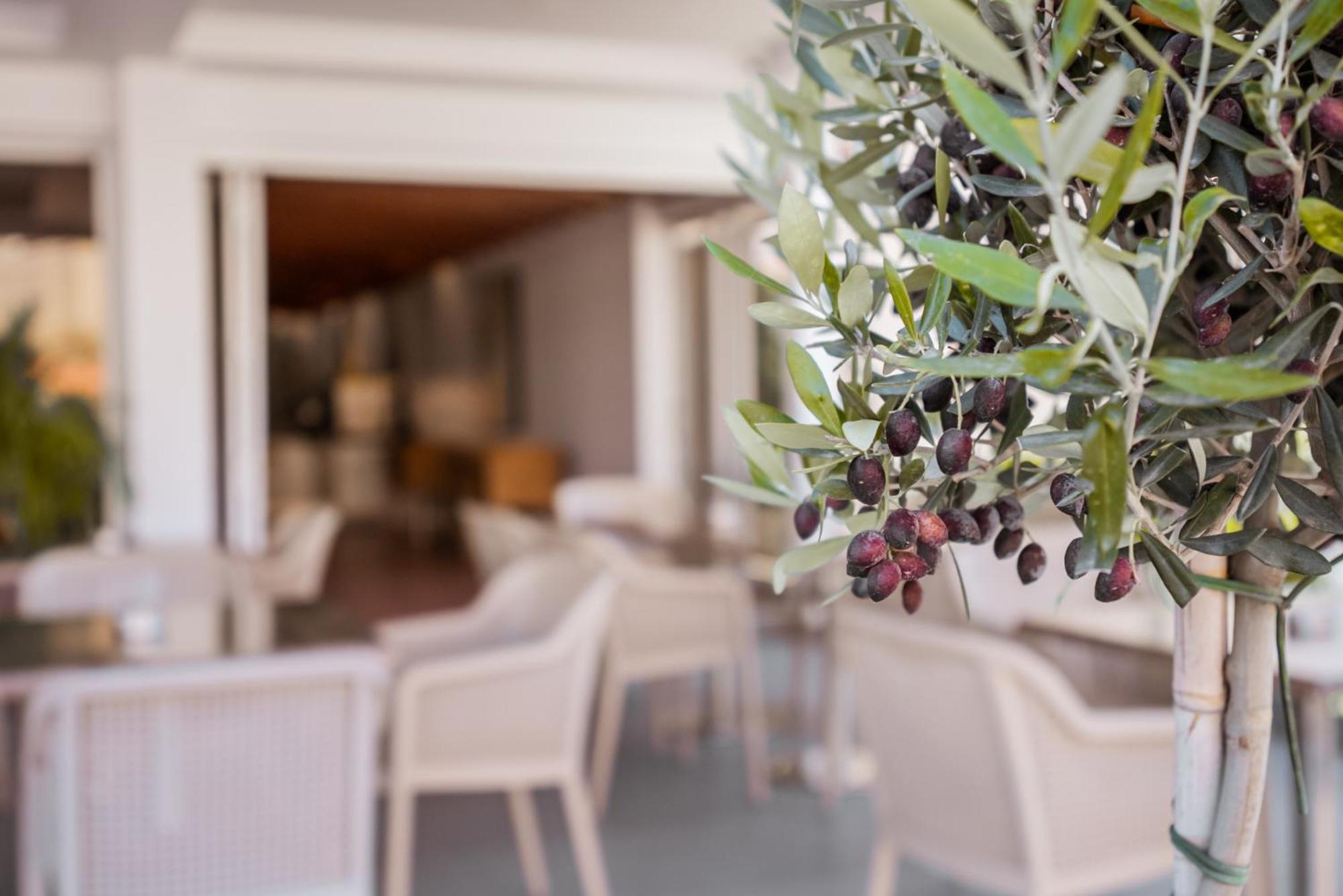 Paul Marie Hotel Apartments Ayia Napa Ngoại thất bức ảnh